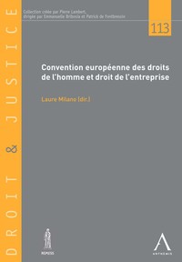 Convention européenne des droits de l'homme et droit de l'entreprise