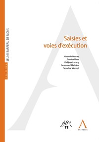 Saisies et voies d'exécution