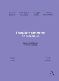 Formulaire commenté de procédure. Tome 3. Procédure protectionnelle