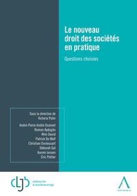 Le nouveau droit des sociétés en pratique