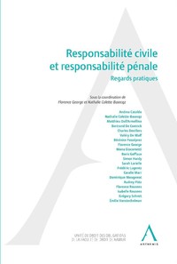 Responsabilité civile et responsabilité pénale