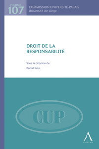 Droit de la responsabilité