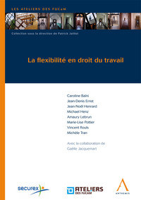 La flexibilité en droit du travail