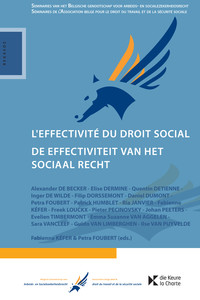 L'effectivité du droit social / De effectiviteit van het sociaal recht
