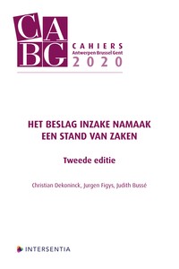 Beslag inzake namaak
