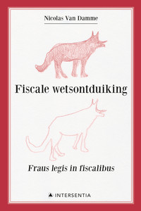 Fiscale wetsontduiking