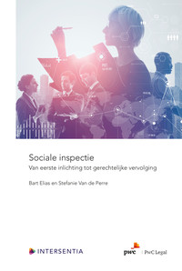 Sociale inspectie